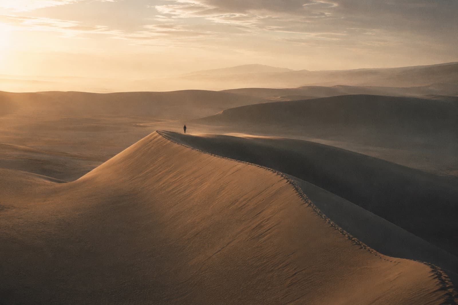 ANIMA UAE Edition retreat — Dubai, United Arab Emirates